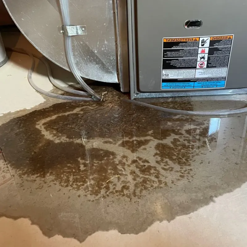 Pipe Burst and Leak Restoration in Nephi, UT