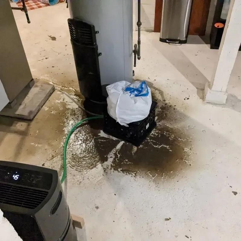 Sewage Backup Cleanup Service in Nephi, UT